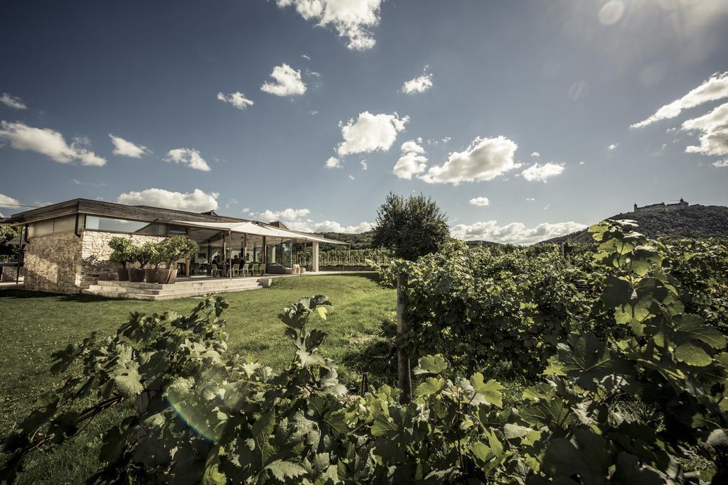 Malat Weingut Und Hotel Furth bei Gottweig Buitenkant foto