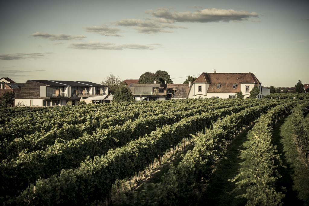 Malat Weingut Und Hotel Furth bei Gottweig Buitenkant foto